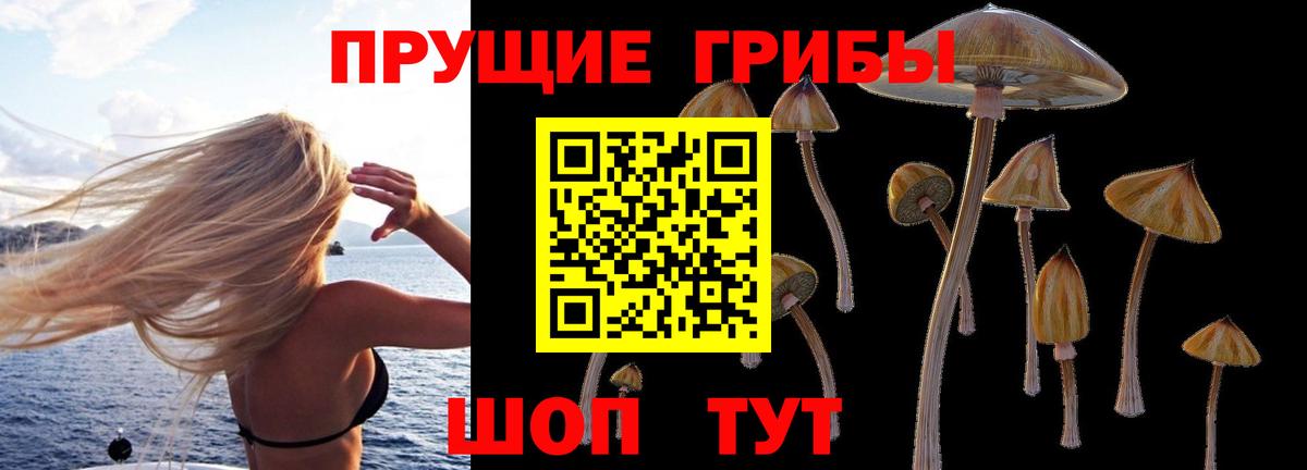 Галлюциногенные грибы Magic Shrooms Кинель